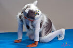 прокат костюм кота
